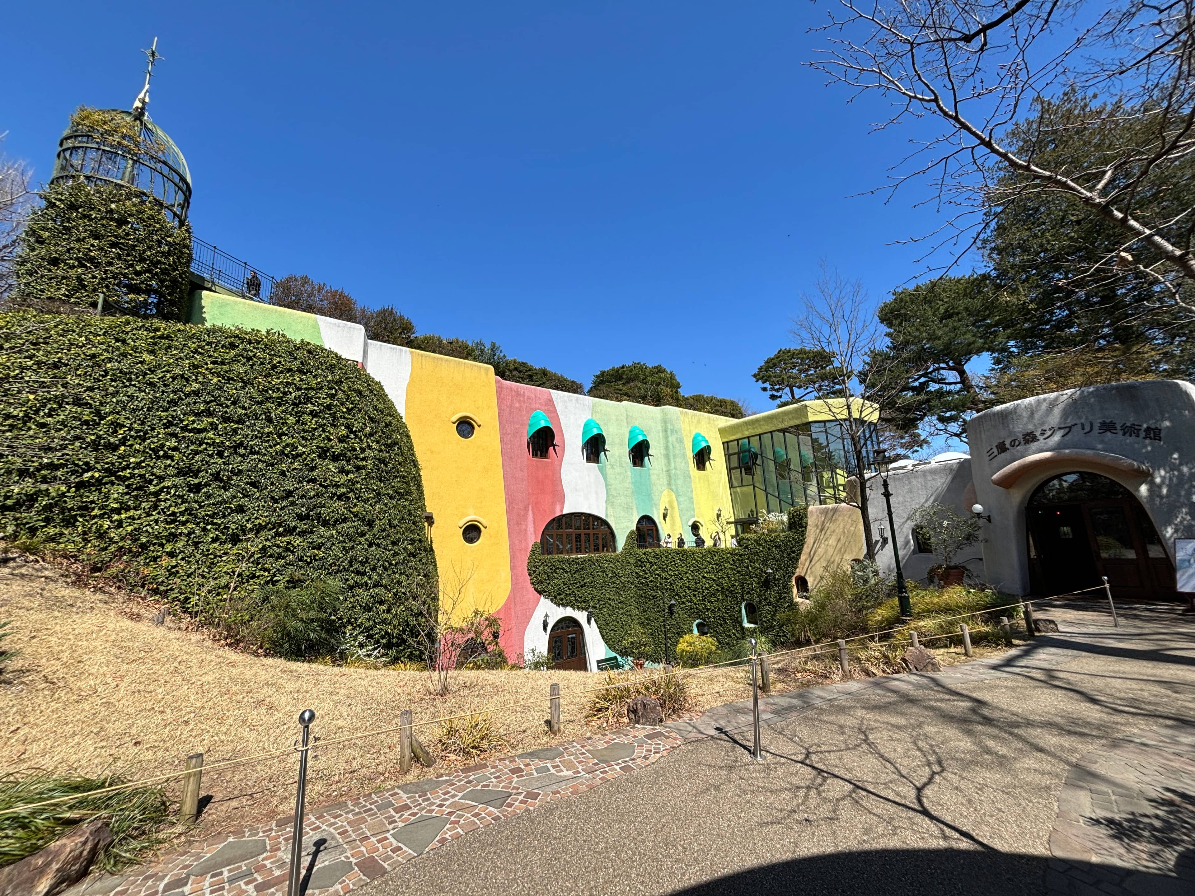 Representative editorial image for Studio Ghibli films