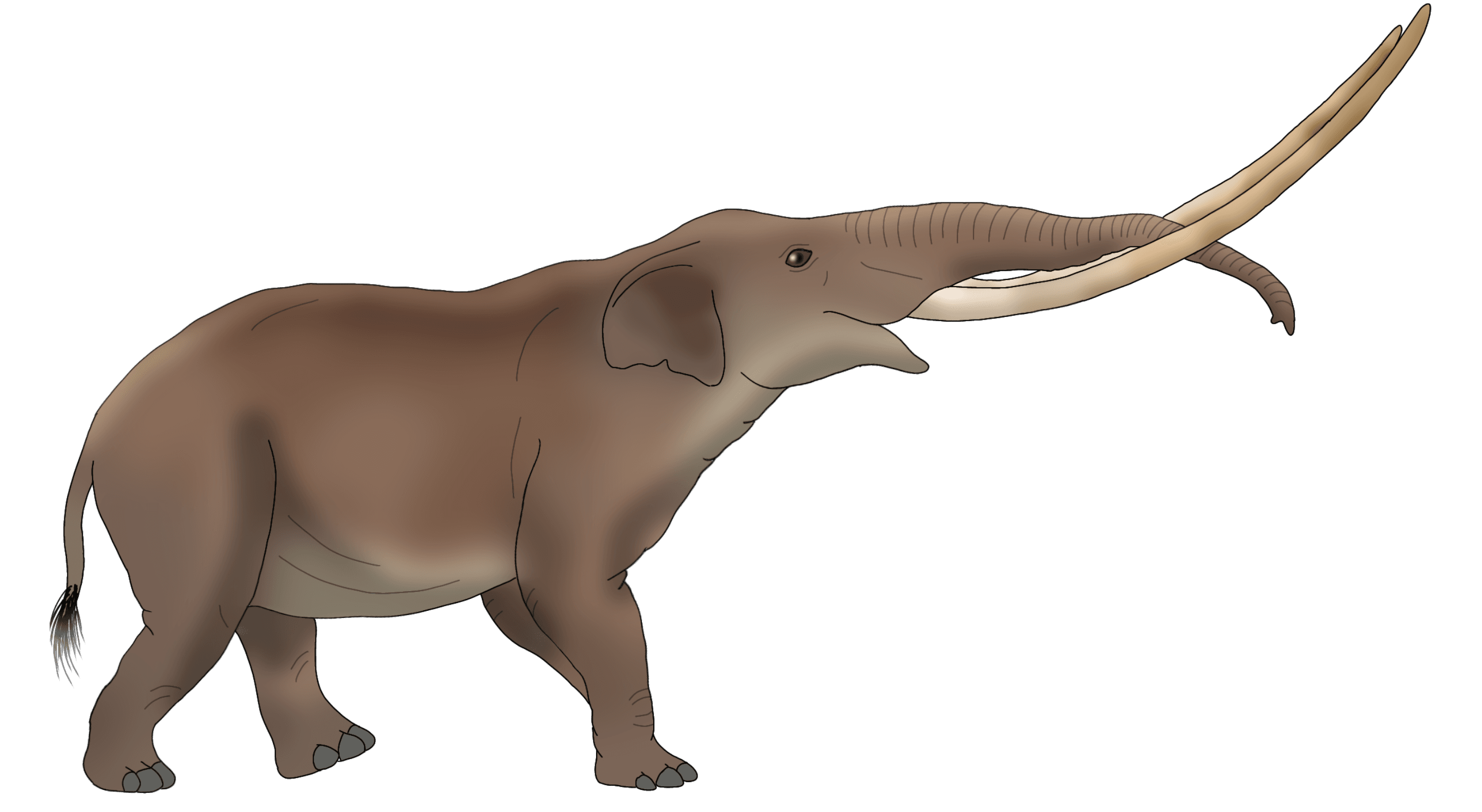 Representative editorial image for Mastodon