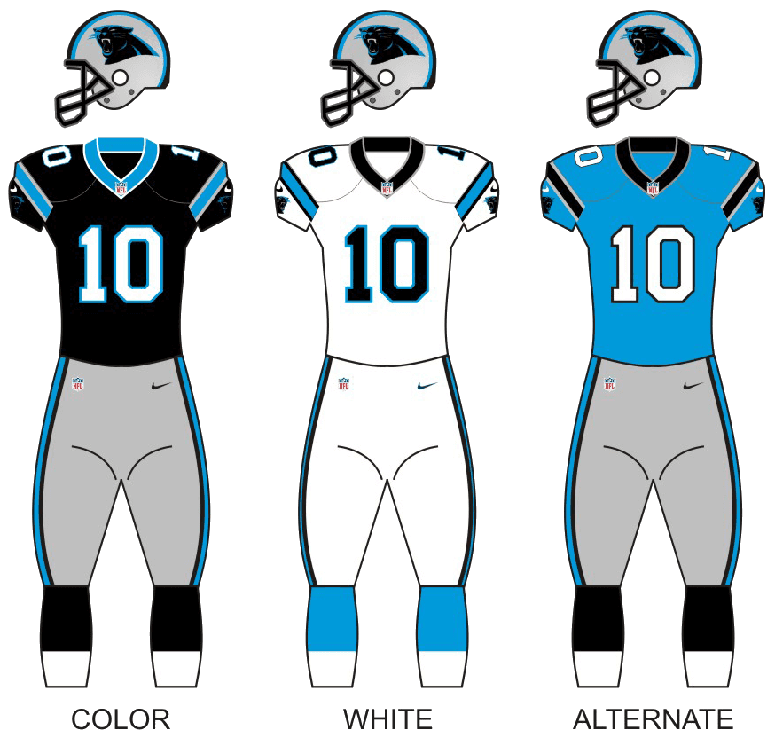 Team photo for Carolina Panthers