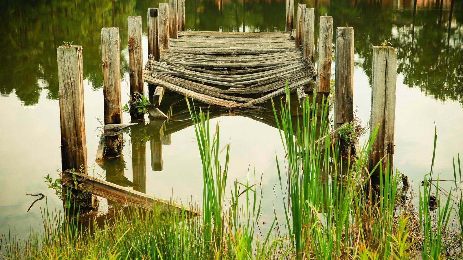 Team photo for FC Barcelona