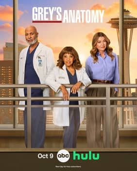 Poster or key art for Grey's Anatomy