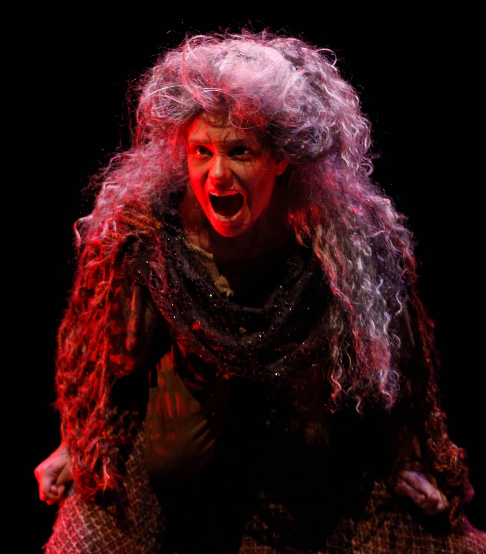 Poster or key art for The Addams Family