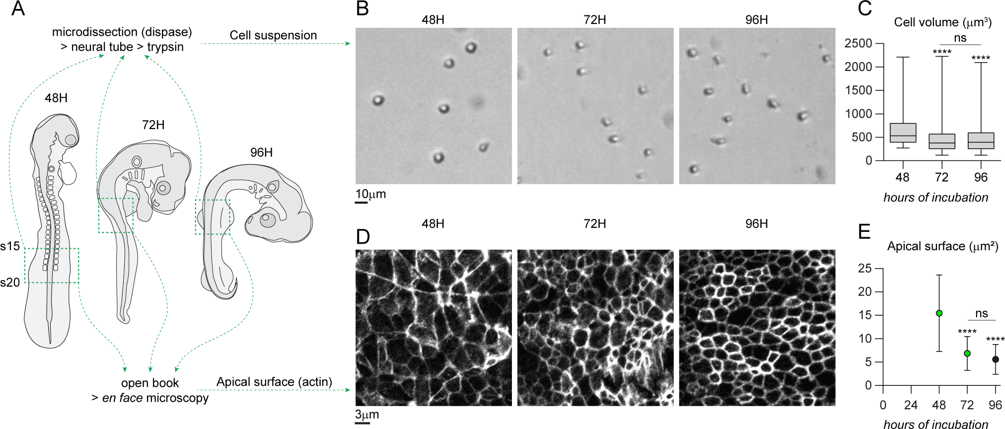 Cover artwork for The Remains of the Day